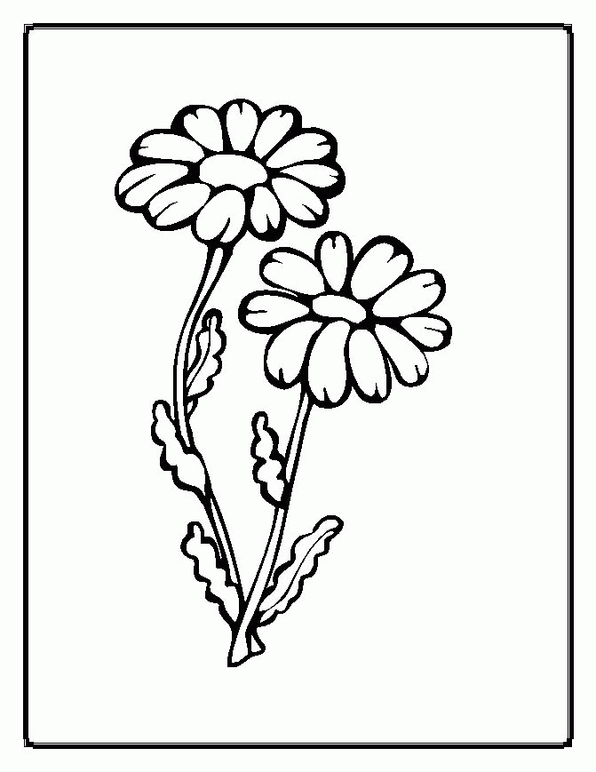 Coloring Pages Of A Flower – 671×869 Coloring picture animal and