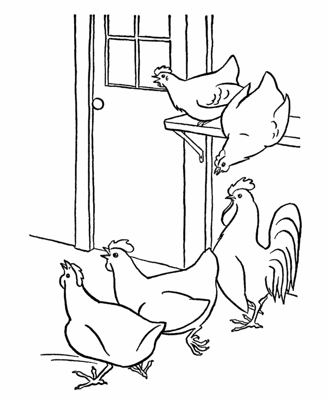 Farm Animal Coloring Pages | Printable Chickens Coloring Page Hens ...