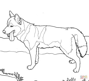 German Shepherd Dogs Coloring Page Free Printable Coloring Pages ...