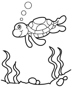 Related Turtle Coloring Pages item-12143, Turtle Coloring Pages ...