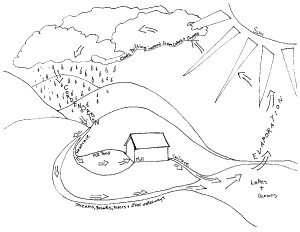 Water Cycle Coloring Page