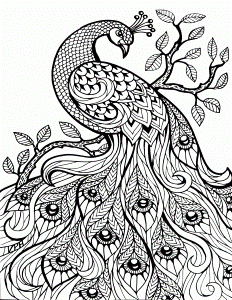 Animal For Adults - Coloring Pages for Kids and for Adults