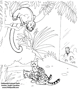 Zoo Scene Coloring Page Sketch Coloring Page