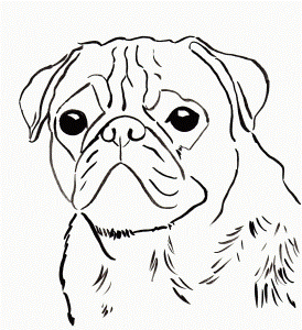 Free pug coloring page to download and print.