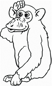 Chimpanzee Coloring Pages Coloring Book Area Best Source For