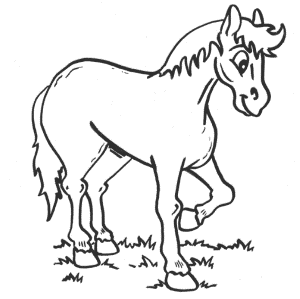 Print Little Horse Animal Coloring Page For Preschool or Download