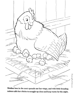 farm animal coloring sheet chickens to print and color