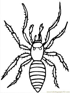 Haloween Spider Coloring Pages 26 | Free Printable Coloring Pages