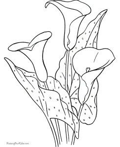 Flower coloring sheet | COLOR&ampCLIP ART-Flowers/Trees/Leaves/etc | Pin…