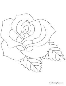 Rose coloring pages 2 | Download Free Rose coloring pages 2 for