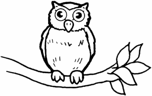 Owl Coloring Pages For Kids 93 | Free Printable Coloring Pages
