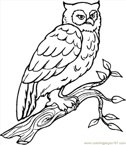 Coloring Pages Owl001 (5) (Birds > Owl) - free printable coloring