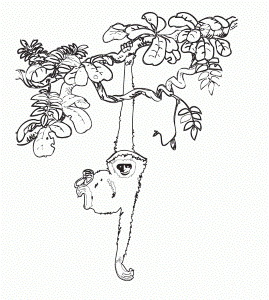 tree without leaves coloring page | Coloring Picture HD For Kids