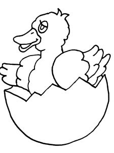 Duck Colouring Pages- PC Based Colouring Software, thousands of