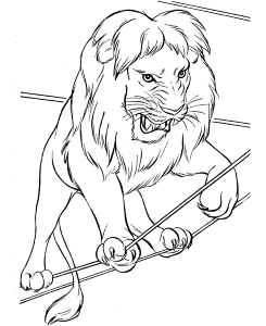 Circus Animal Coloring Pages | Printable performing Circus lion