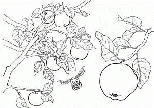 Little Bird Sitting On A Tree Branch Coloring Page - Tree Coloring
