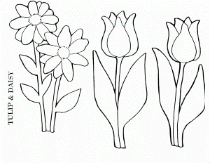 Daisy Coloring Pages - Free Coloring Pages For KidsFree Coloring