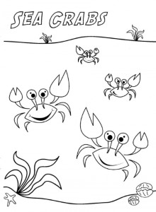 Maryland Crab Coloring Page | 99coloring.com