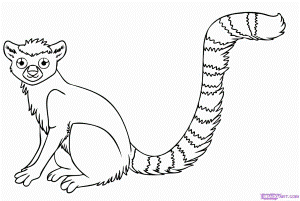 African Rainforest Coloring Page Exploring Nature Educational