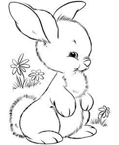 print preschool cute easter bunny coloring pages