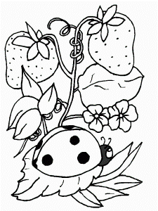 Printable Ladybug Coloring Page The Inky Octopus 2014 | Sticky