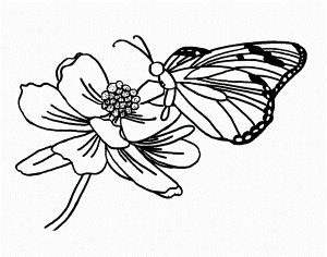 Butterfly Viewing Flowers Coloring Pages - Butterfly Coloring