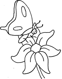 A Small Butterfly Perching On Flowers Coloring Pages - Butterflies