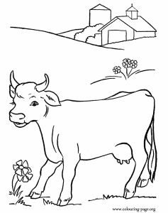 Cows and Calves - A beautiful cow in the pasture coloring page