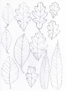 leaf templates | Templates & Patterns