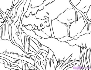 Rainforest Coloring Page - Coloring For KidsColoring For Kids