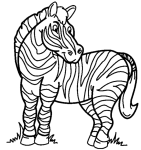 Zebra Coloring Page | Coloring Pages
