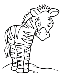 ute zebra Colouring Pages