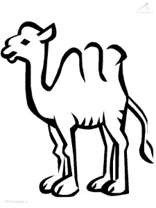 1001 COLORINGPAGES : Animals >> Camel >> Camel Coloring Page