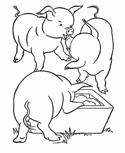 farm animal coloring pages printable pigs feeding page