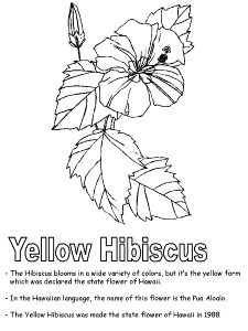 Hawaiian Coloring Pages For Kids 10 | Free Printable Coloring Pages
