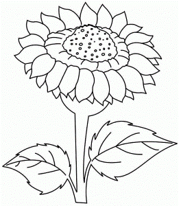 Sunflower Flowers Colouring Sheets Printable For Boys & Girls 20538#