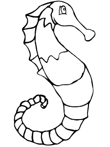 Ocean Seahorse Animals Coloring Pages | coloring pages
