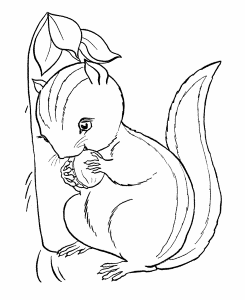 Striped squirrels Coloring Pages | Chipmunk Coloring Page and Kids