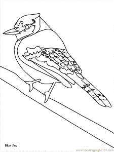 Coloring Pages Bird Coloring 63 (Animals > Birds) - free printable