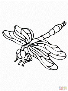 Dragonfly Coloring Page Id 23604 Uncategorized Yoand 187777