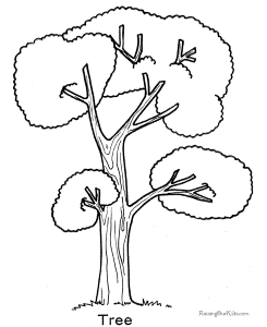 Tree coloring page 007