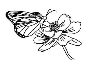 FREE Butterfly Coloring Pages: Butterfly Visiting Flower