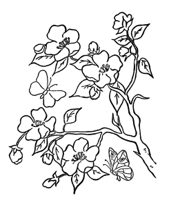 Summer Flower Coloring Pages | Flowers Coloring Pages | Kids