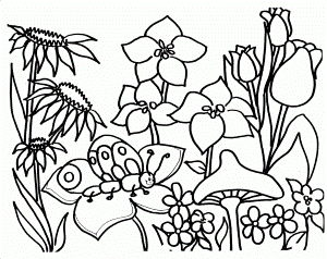 Flower Garden Coloring Pages - Flower Coloring Pages : Coloring