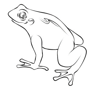FREE Frog Coloring Picture 16