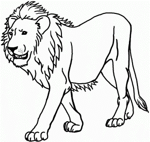 lion coloring pages | Only Coloring Pages