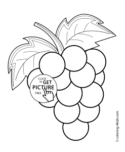 Grapes fruits and berries coloring pages for kids, printable free ...