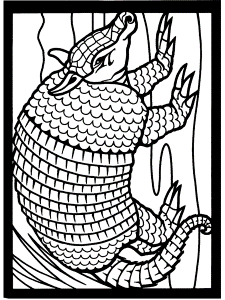 Armadillo coloring pages | Coloring-