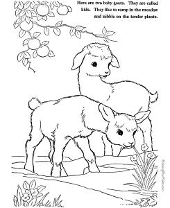 Farm Animal Coloring Pages Simple Pictures