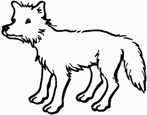 Coyotes Howling In Desert 251084 Coyote Coloring Pages